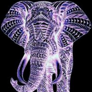 Meet your Posher, Miranda